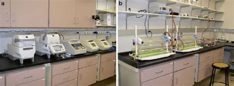 Machine Assisted Breeding .